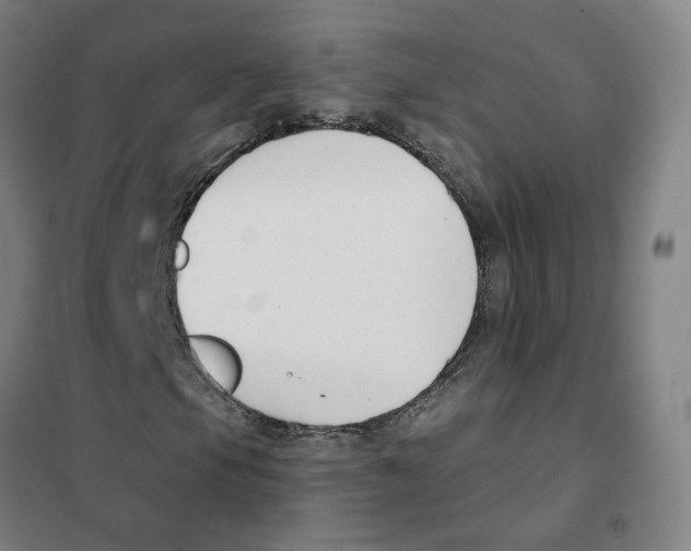X0000101421105200808041121