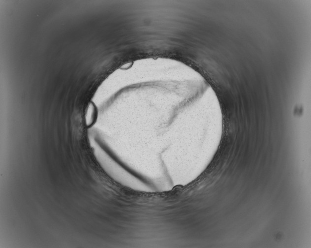X0000101421106200808041121