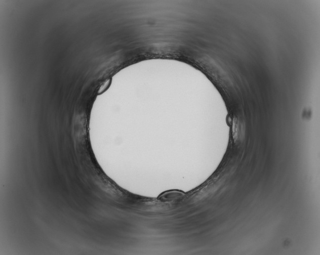 X0000101421107200808041121