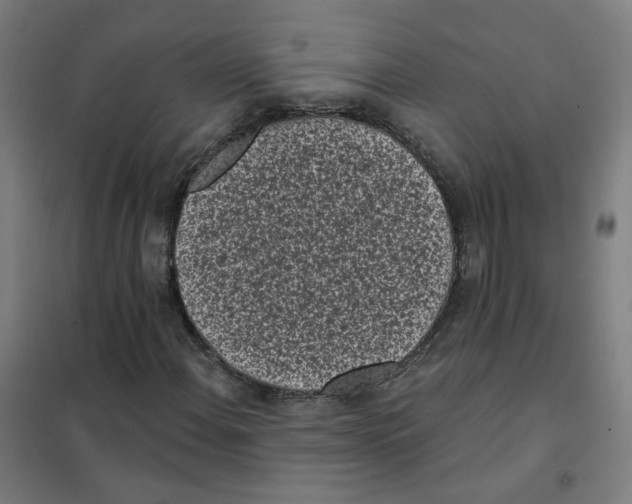 X0000101421108200808041121