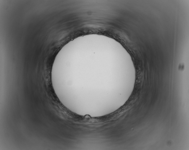 X0000101421109200808041121