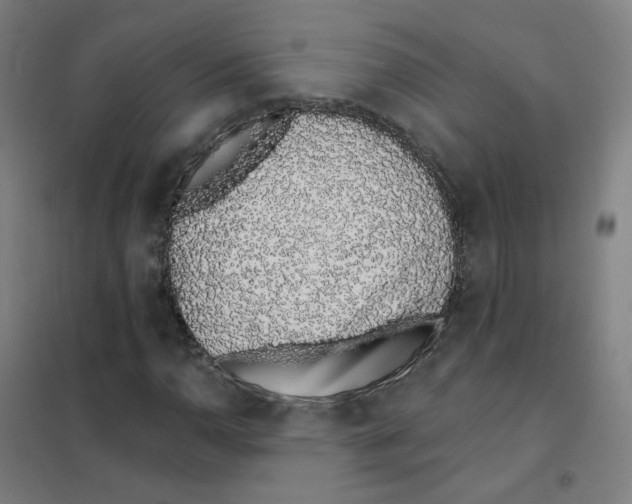 X0000101421110200808041121