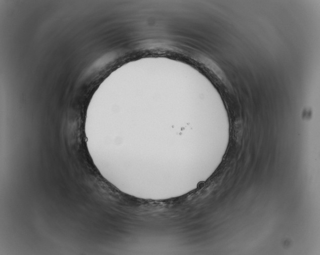 X0000101421111200808041121