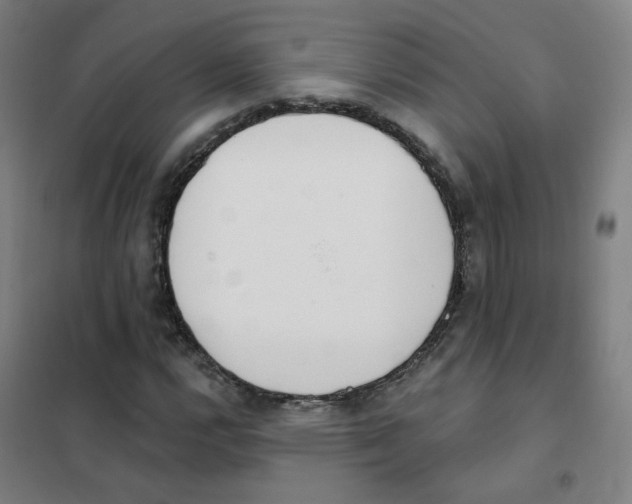 X0000101421112200808041121