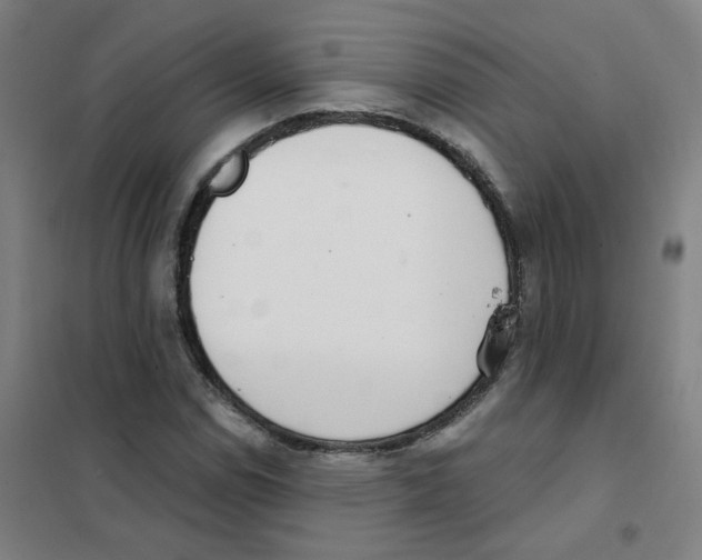 X0000101421114200808041121