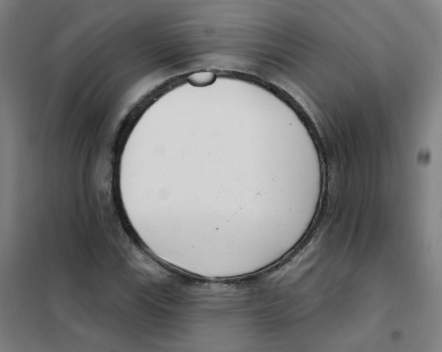 X0000101421115200808041121