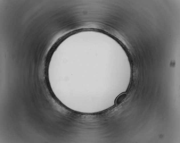 X0000101421116200808041121
