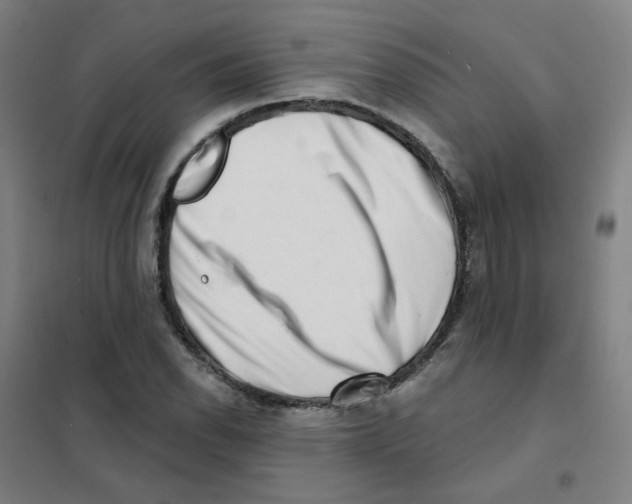 X0000101421118200808041122