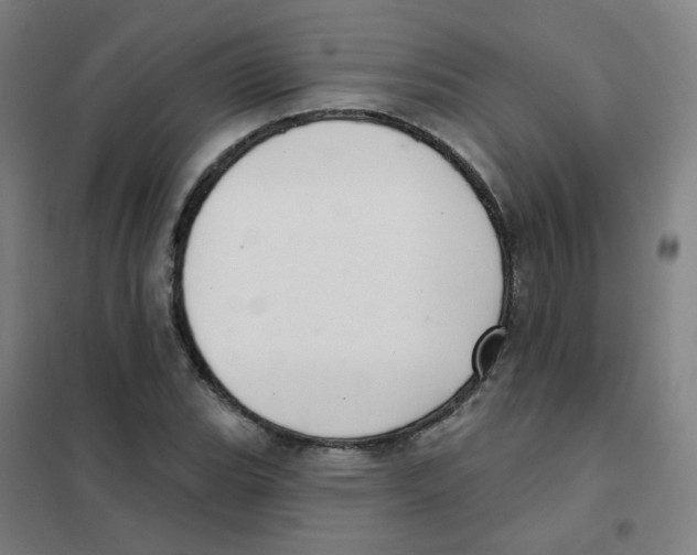 X0000101421119200808041122
