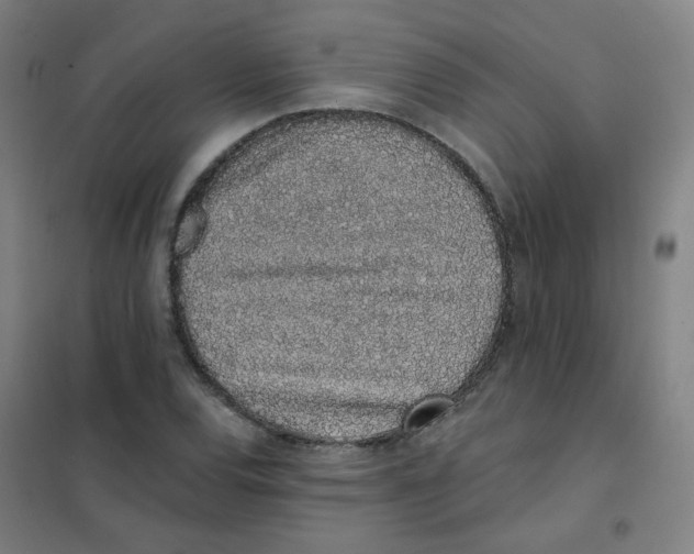 X0000101421120200808041122