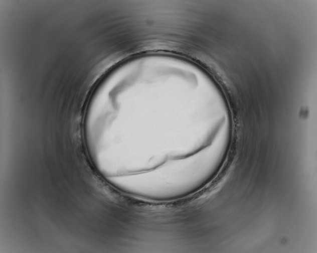 X0000101421121200808041122
