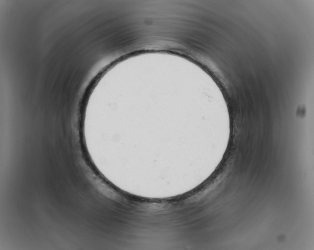 X0000101421122200808041122