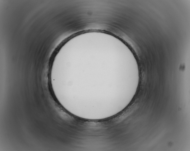 X0000101421124200808041122