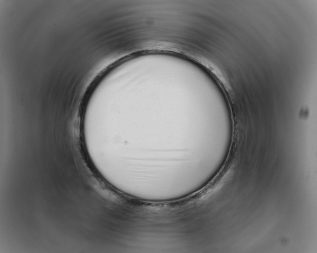 X0000101421125200808041122