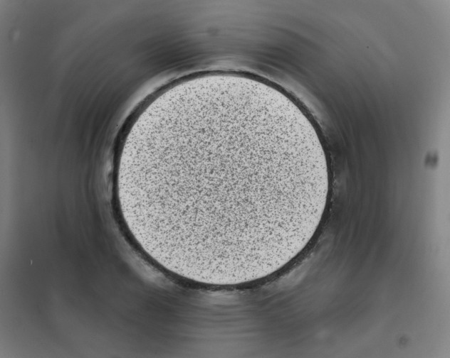 X0000101421126200808041122