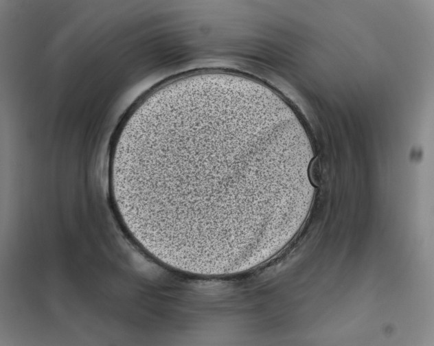 X0000101421127200808041122