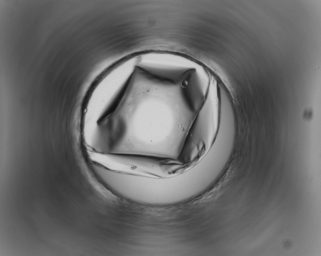 X0000101421128200808041122