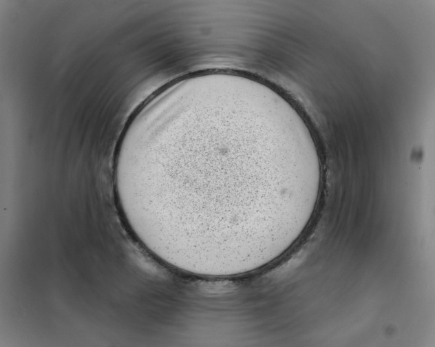 X0000101421129200808041122