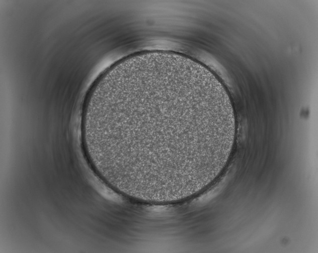 X0000101421130200808041122