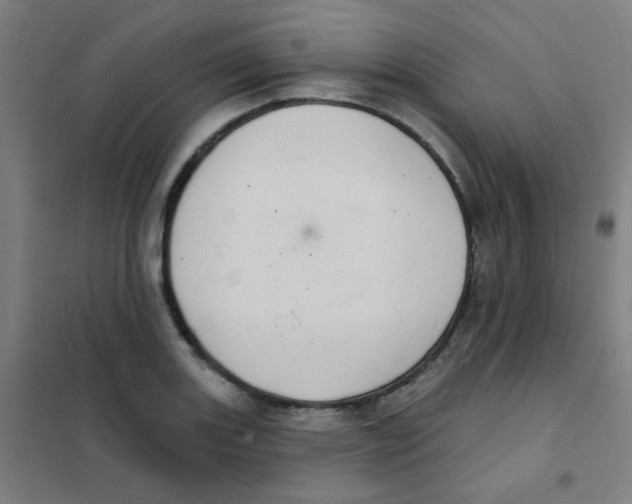 X0000101421131200808041122