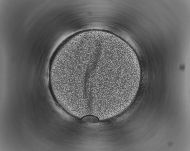 X0000101421132200808041122