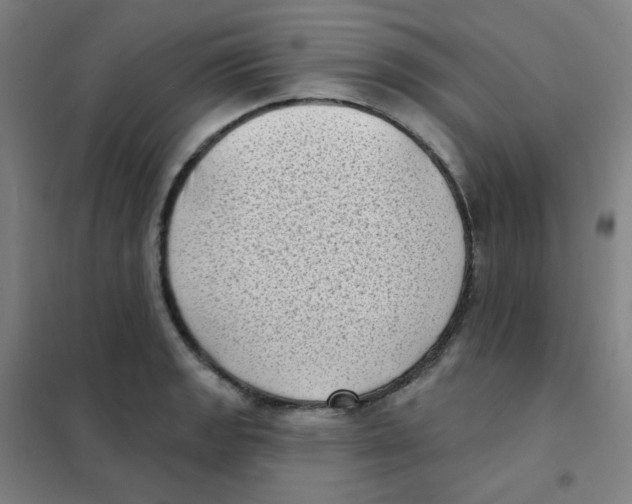 X0000101421133200808041122