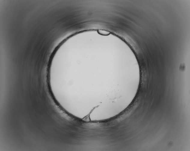 X0000101421134200808041122