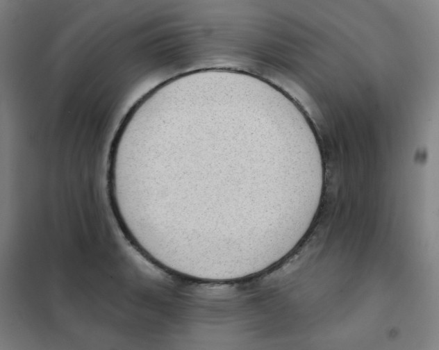 X0000101421135200808041122