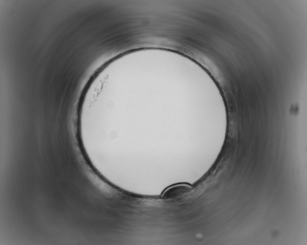 X0000101421136200808041122