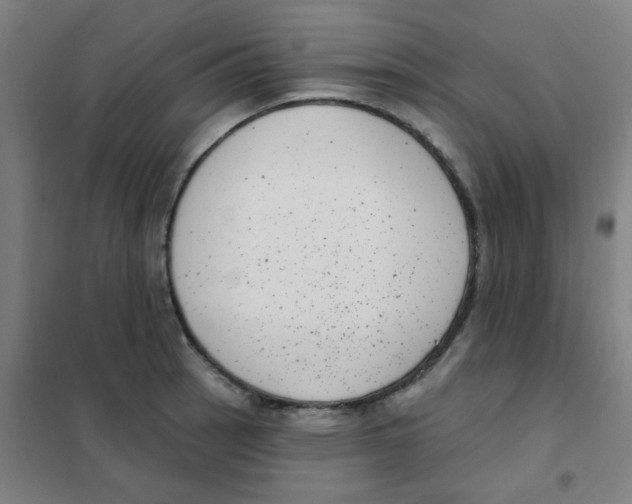 X0000101421137200808041122