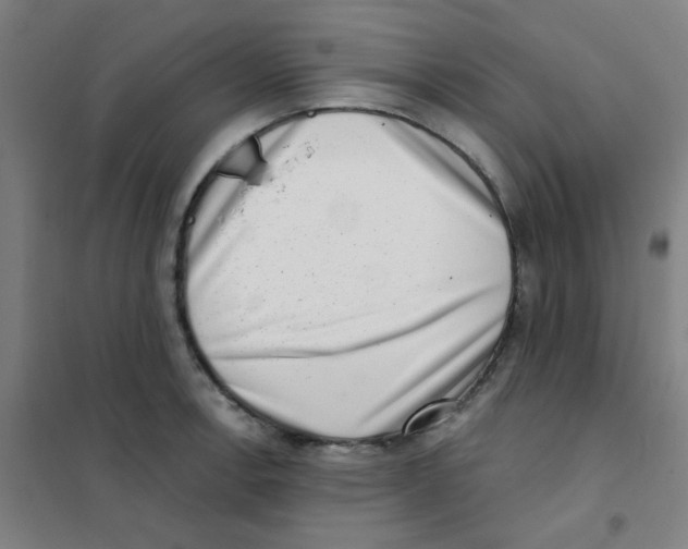 X0000101421138200808041122