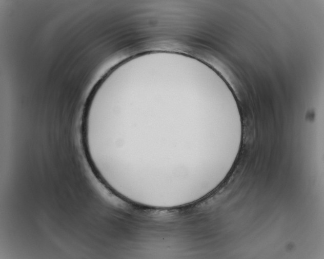 X0000101421139200808041122