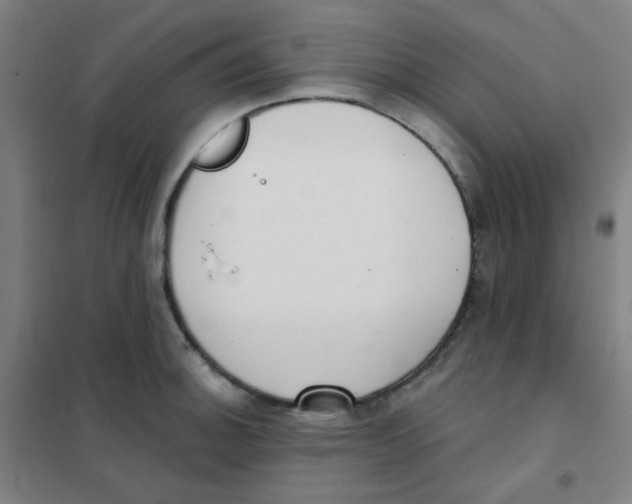 X0000101421140200808041122