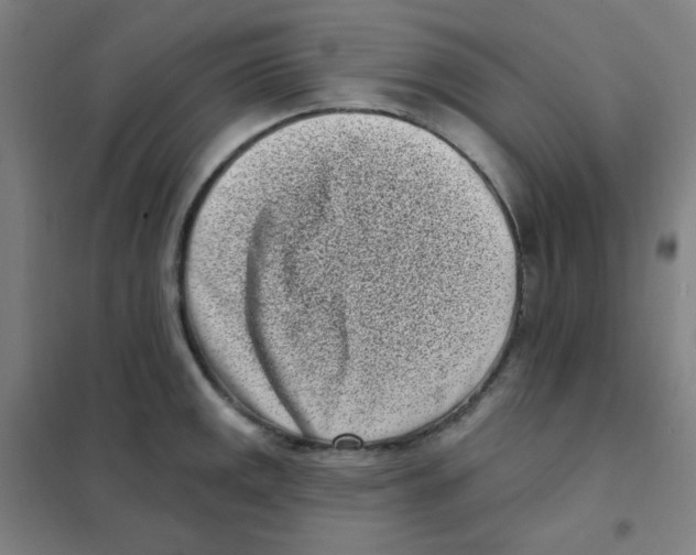X0000101421141200808041122