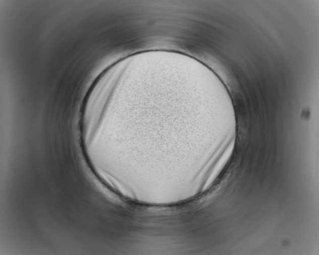 X0000101421142200808041122