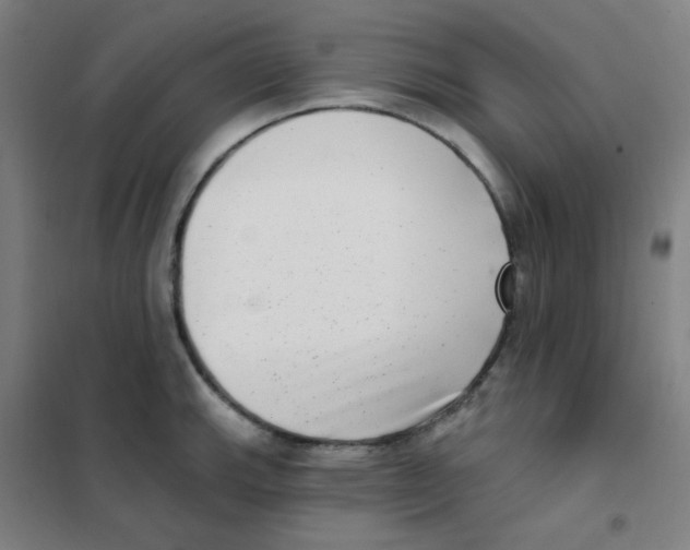 X0000101421143200808041122