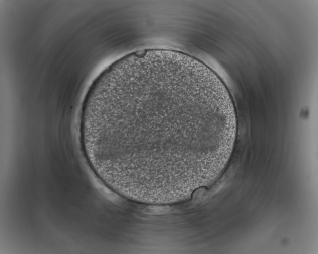 X0000101421144200808041122