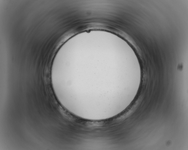 X0000101421145200808041122