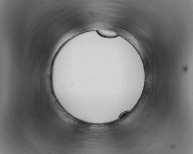 X0000101421146200808041122