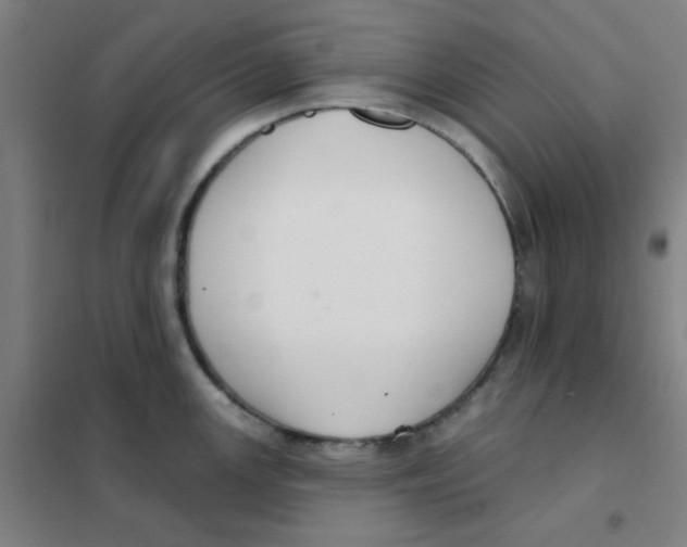 X0000101421147200808041122