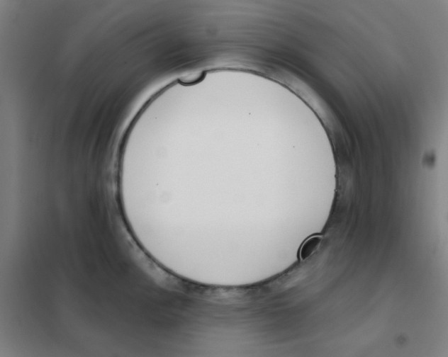 X0000101421148200808041122