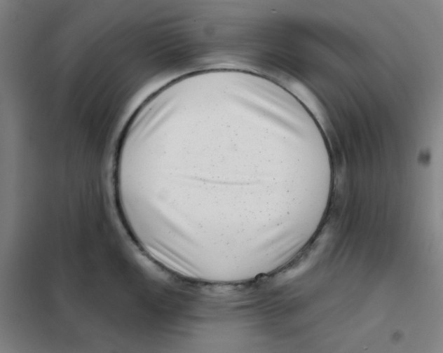 X0000101421149200808041122