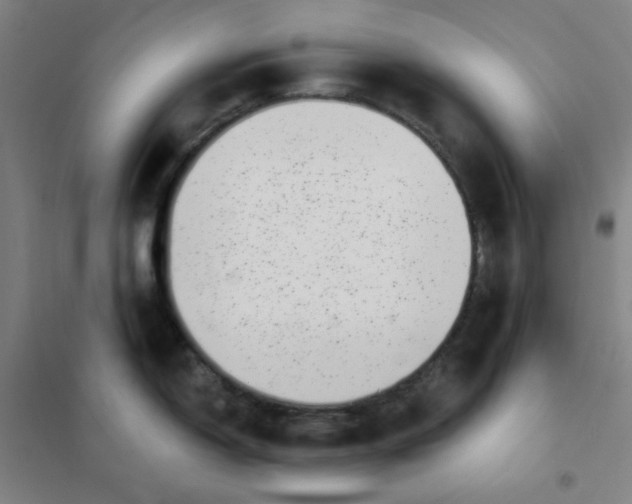 X0000101421150200808041122