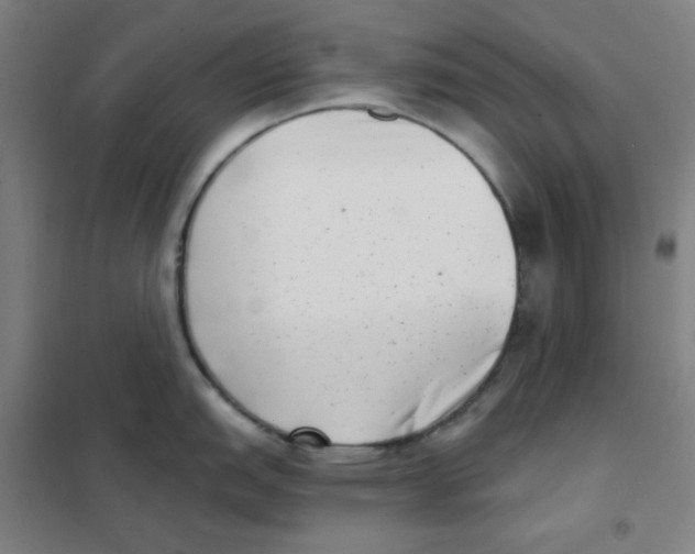 X0000101421151200808041122