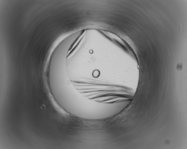 X0000101421152200808041122