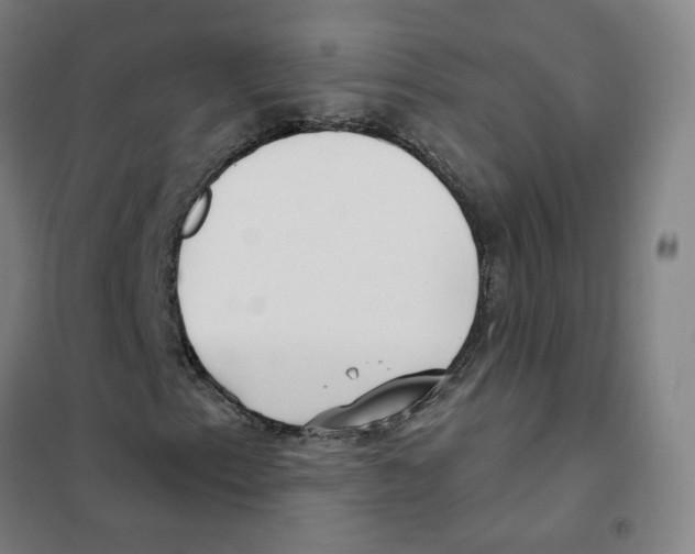 X0000101421153200808041121