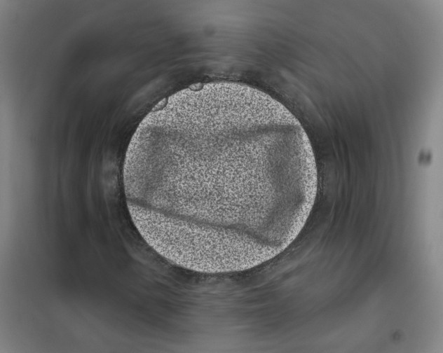 X0000101421154200808041121