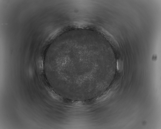 X0000101421155200808041121