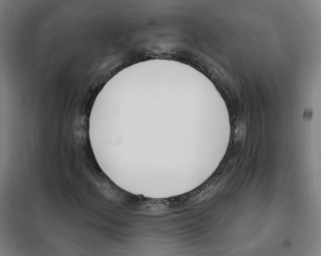 X0000101421156200808041121