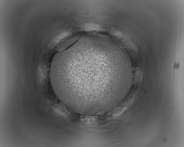 X0000101421157200808041121